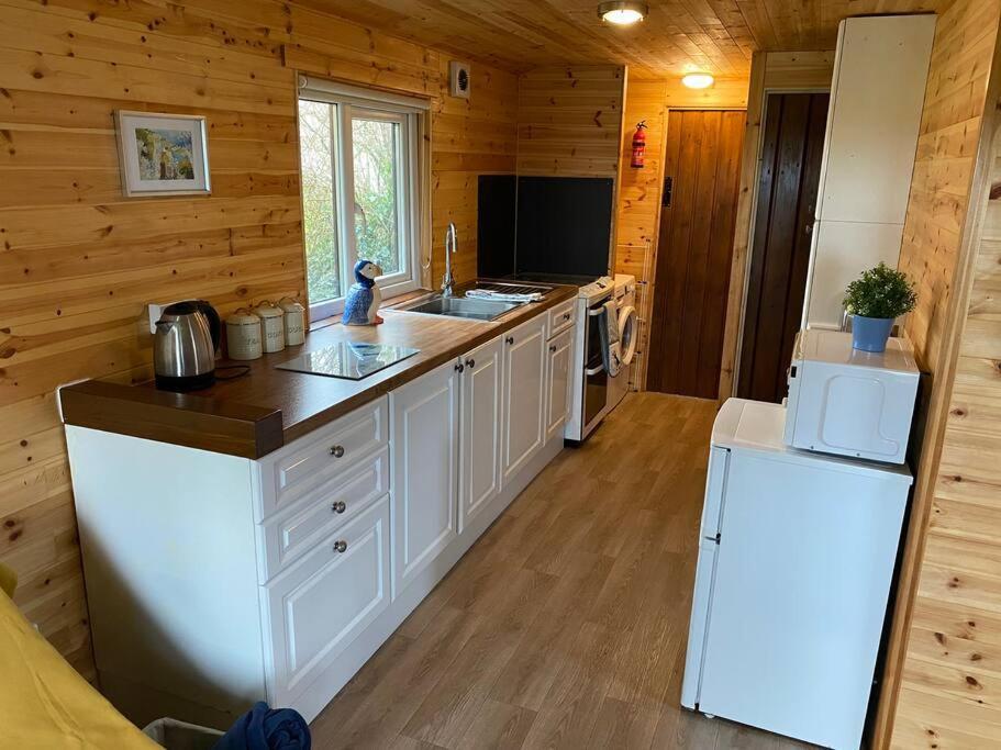 Idyllic Cornish Retreat At Puffin Lodge Гелстон Екстер'єр фото